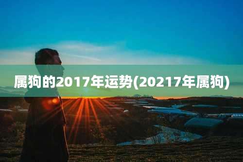 属狗的2017年运势(20217年属狗)
