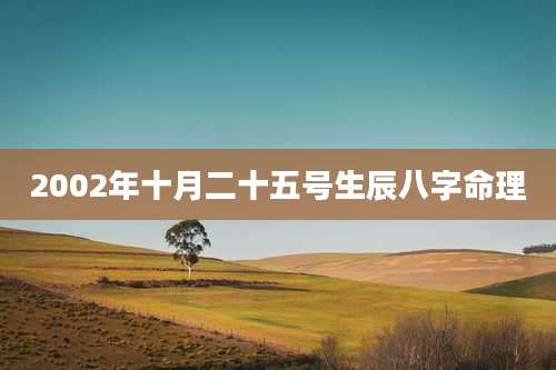 2002年十月二十五号生辰八字命理