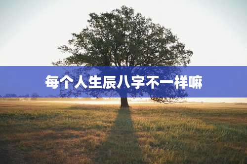 每个人生辰八字不一样嘛