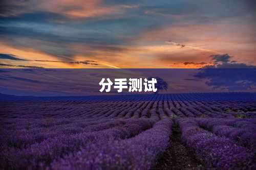 分手测试