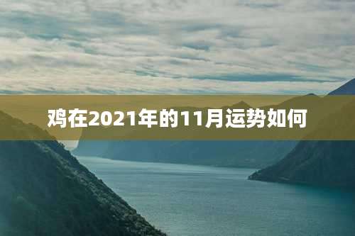 鸡在2021年的11月运势如何