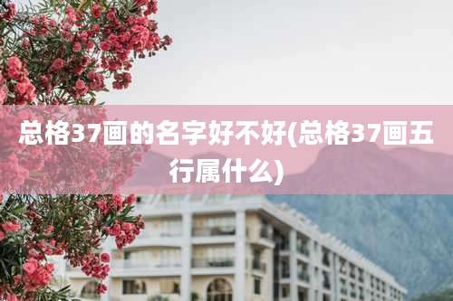 总格37画的名字好不好(总格37画五行属什么)