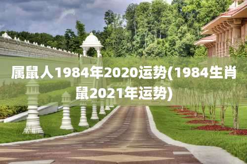属鼠人1984年2020运势(1984生肖鼠2021年运势)