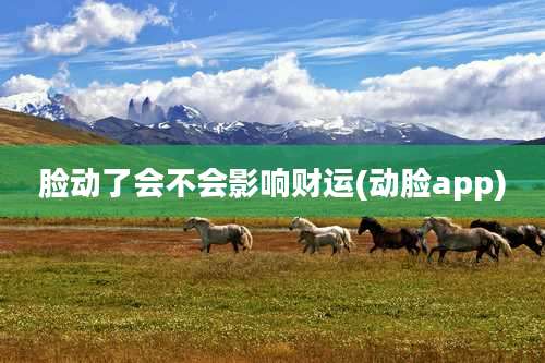 脸动了会不会影响财运(动脸app)