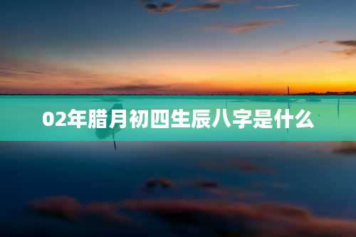 02年腊月初四生辰八字是什么