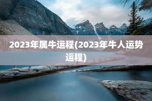 2023年属牛运程(2023年牛人运势运程)