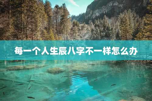 每一个人生辰八字不一样怎么办