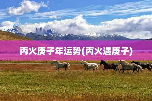 丙火庚子年运势(丙火遇庚子)