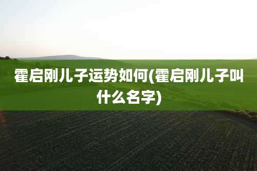 霍启刚儿子运势如何(霍启刚儿子叫什么名字)