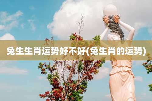 兔生生肖运势好不好(兔生肖的运势)