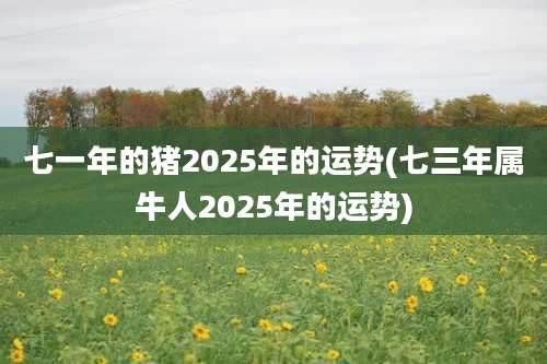 七一年的猪2025年的运势(七三年属牛人2025年的运势)