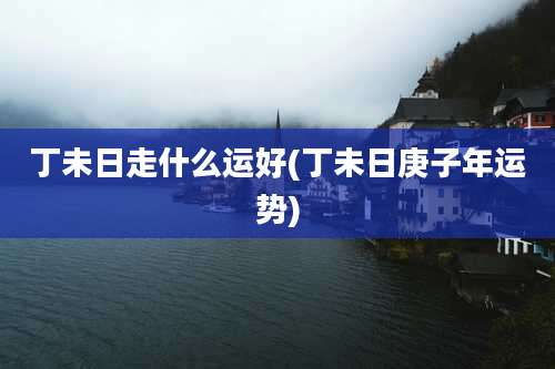 丁未日走什么运好(丁未日庚子年运势)