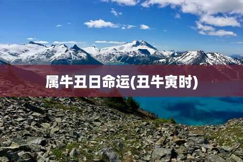 属牛丑日命运(丑牛寅时)