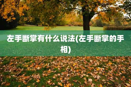 左手断掌有什么说法(左手断掌的手相)