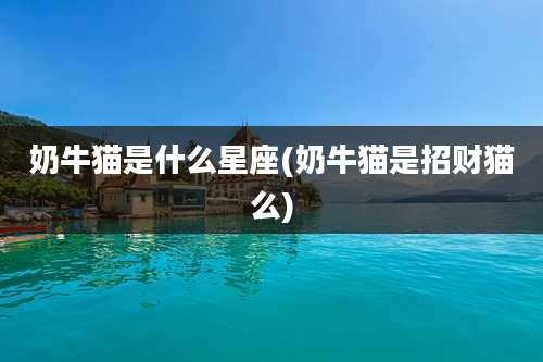 奶牛猫是什么星座(奶牛猫是招财猫么)