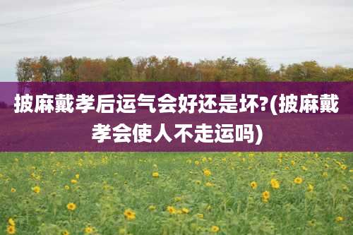 披麻戴孝后运气会好还是坏?(披麻戴孝会使人不走运吗)