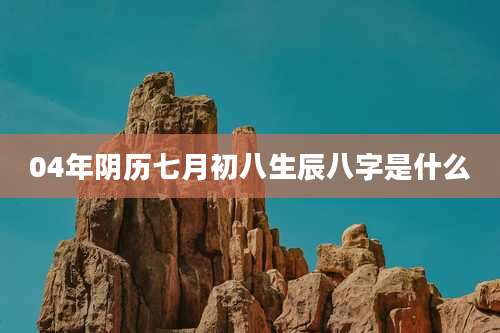 04年阴历七月初八生辰八字是什么