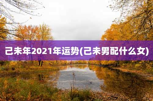 己未年2021年运势(己未男配什么女)
