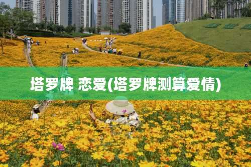 塔罗牌 恋爱(塔罗牌测算爱情)