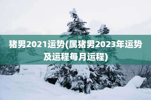猪男2021运势(属猪男2023年运势及运程每月运程)