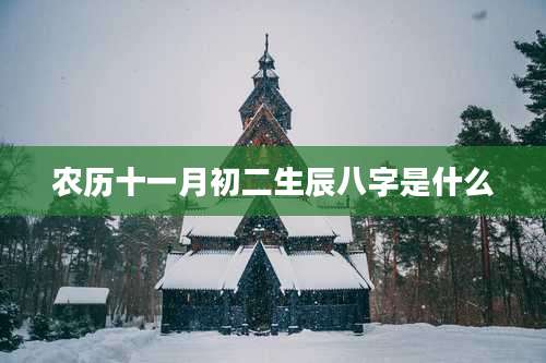 农历十一月初二生辰八字是什么