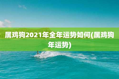 属鸡狗2021年全年运势如何(属鸡狗年运势)