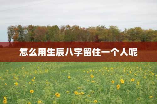 怎么用生辰八字留住一个人呢
