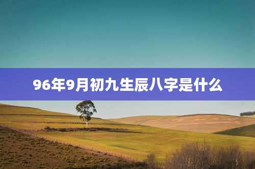 96年9月初九生辰八字是什么