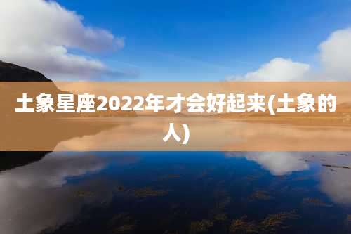 土象星座2022年才会好起来(土象的人)