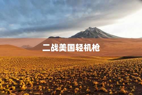 二战美国轻机枪