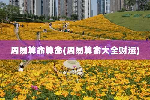 周易算命算命(周易算命大全财运)