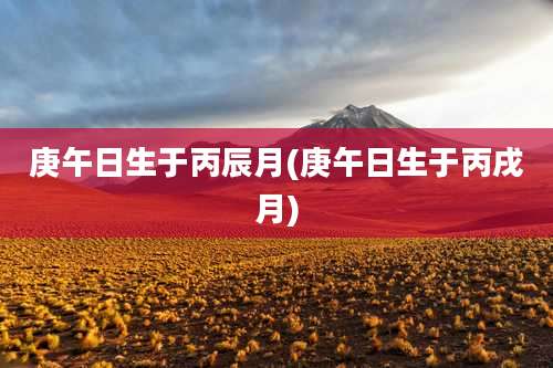 庚午日生于丙辰月(庚午日生于丙戌月)