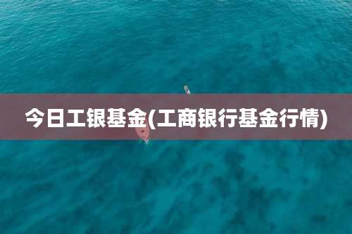 今日工银基金(工商银行基金行情)