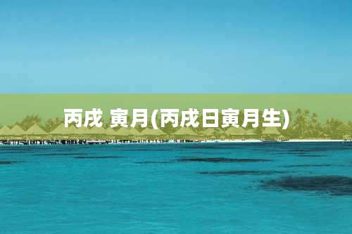 丙戌 寅月(丙戌日寅月生)