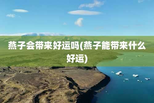 燕子会带来好运吗(燕子能带来什么好运)