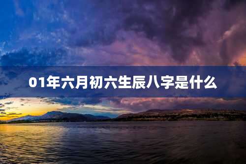 01年六月初六生辰八字是什么