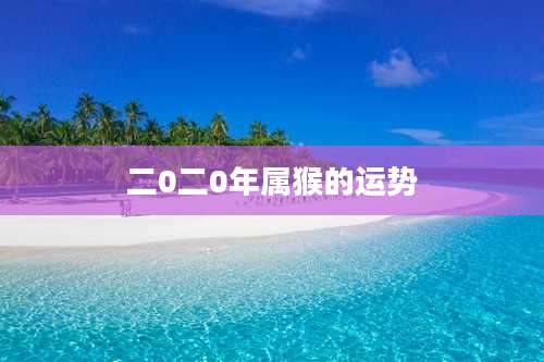 二0二0年属猴的运势