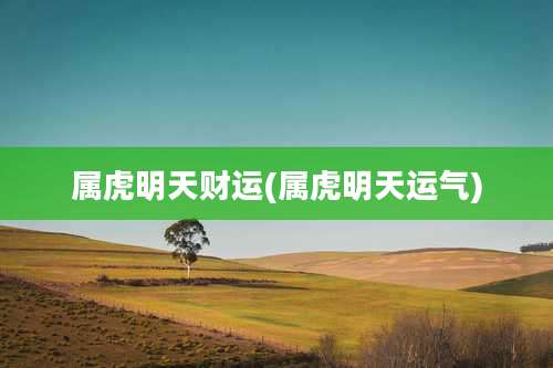 属虎明天财运(属虎明天运气)