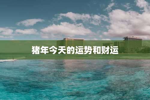 猪年今天的运势和财运