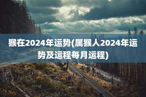 猴在2024年运势(属猴人2024年运势及运程每月运程)