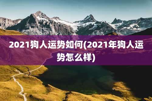 2021狗人运势如何(2021年狗人运势怎么样)