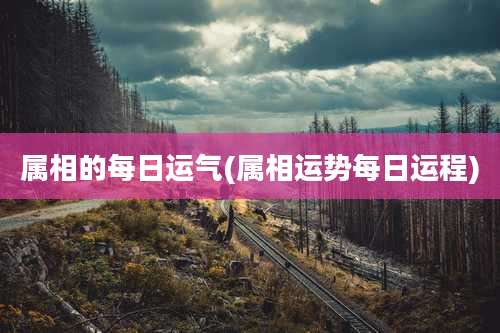 属相的每日运气(属相运势每日运程)