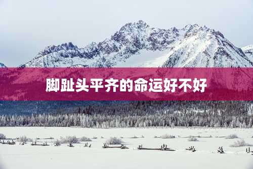 脚趾头平齐的命运好不好