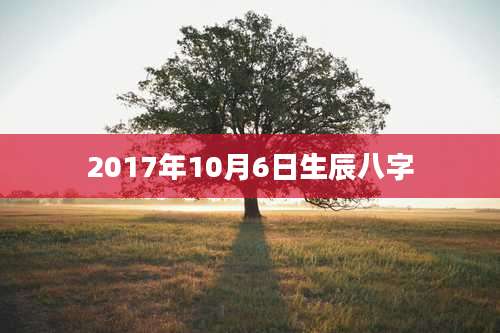 2017年10月6日生辰八字