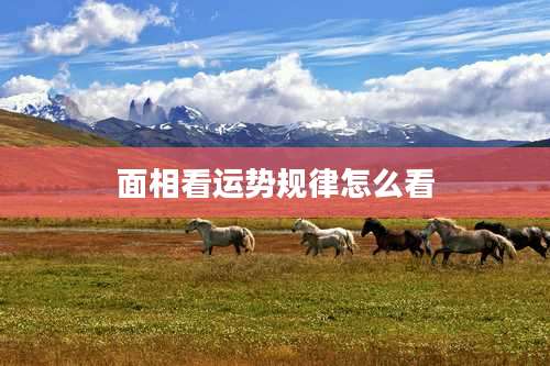 面相看运势规律怎么看