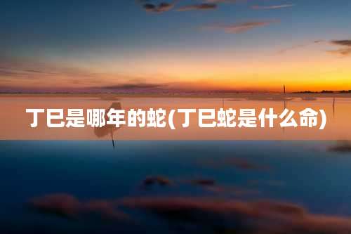 丁巳是哪年的蛇(丁巳蛇是什么命)