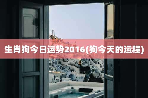 生肖狗今日运势2016(狗今天的运程)