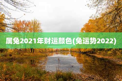 属兔2021年财运颜色(兔运势2022)