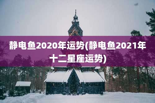 静电鱼2020年运势(静电鱼2021年十二星座运势)
