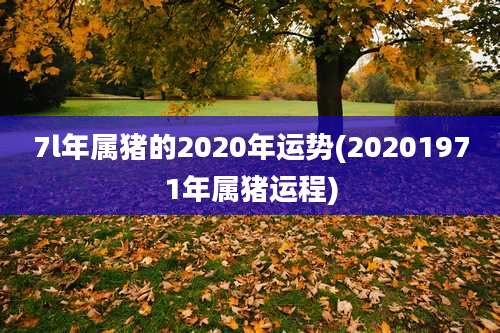 7l年属猪的2020年运势(20201971年属猪运程)